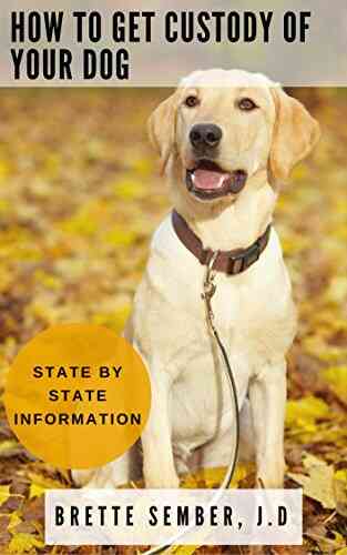 How To Get Custody Of Your Dog