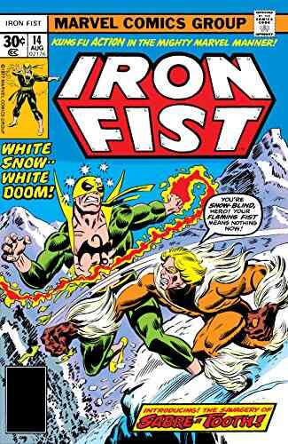 Iron Fist (1975 1977) #14 Timothy Dorr