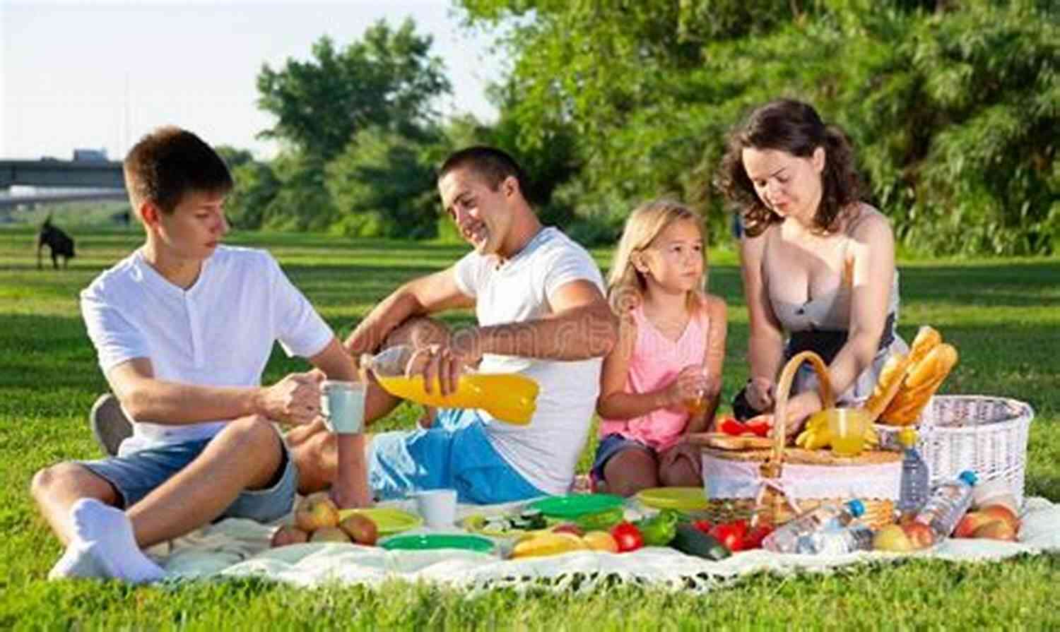 A Happy Family Enjoying A Picnic In A Lush Green Field The Sea Of Wonder: Words From My Heart To Yours