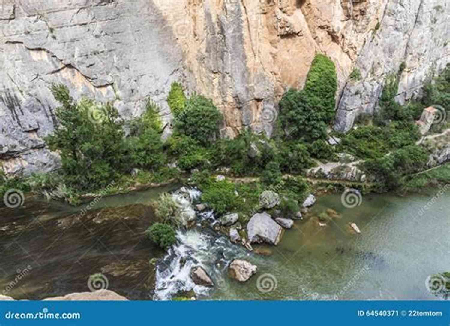 An Enchanting Waterfall Nestled In A Secluded Jungle, Surrounded By Vibrant Fauna And Flora The Opposite Of Wild: A Second Chance Small Town Romance (Clover Park 1)