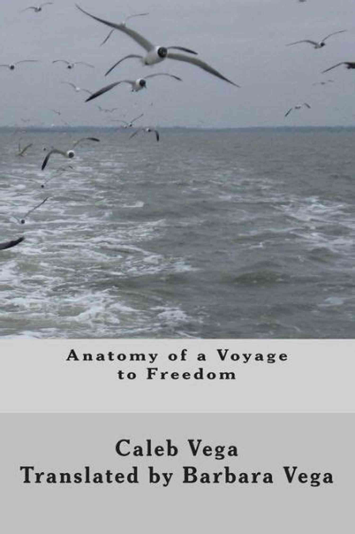 Anatomy Of Voyage To Freedom Anatomy Of A Voyage To Freedom