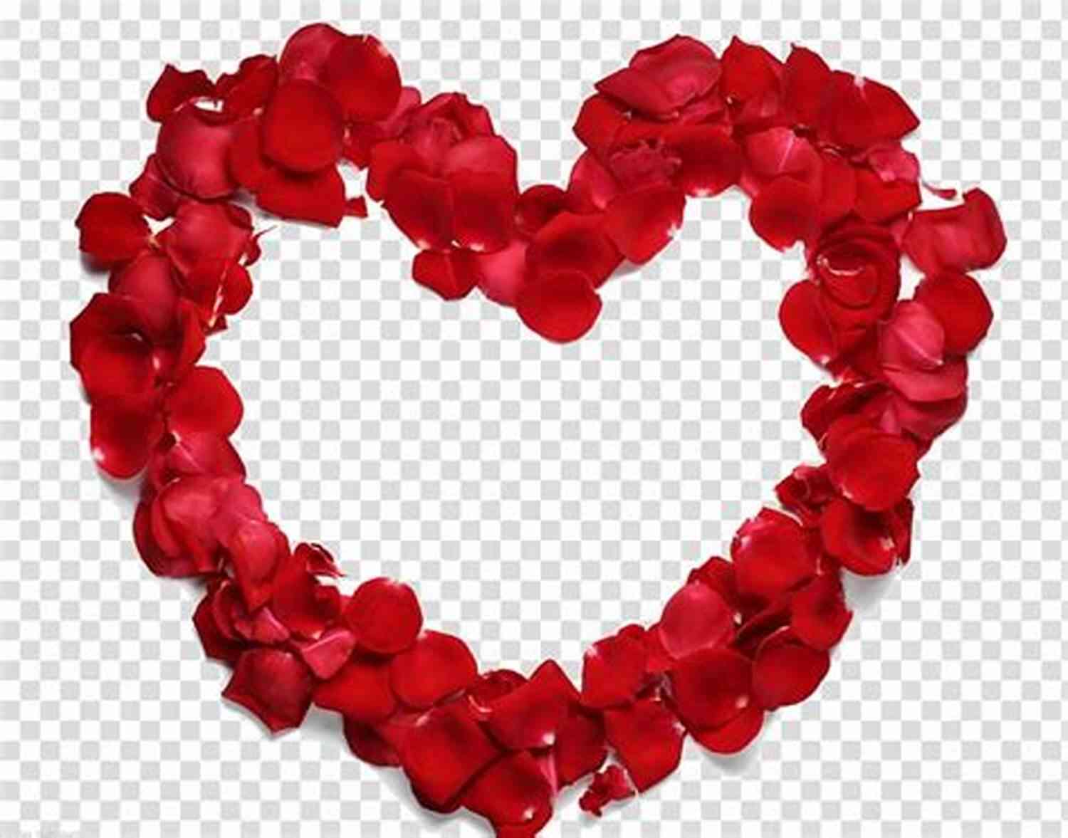 Beautiful Heart Shaped Red Rose Petals On A White Background The Sea Of Wonder: Words From My Heart To Yours