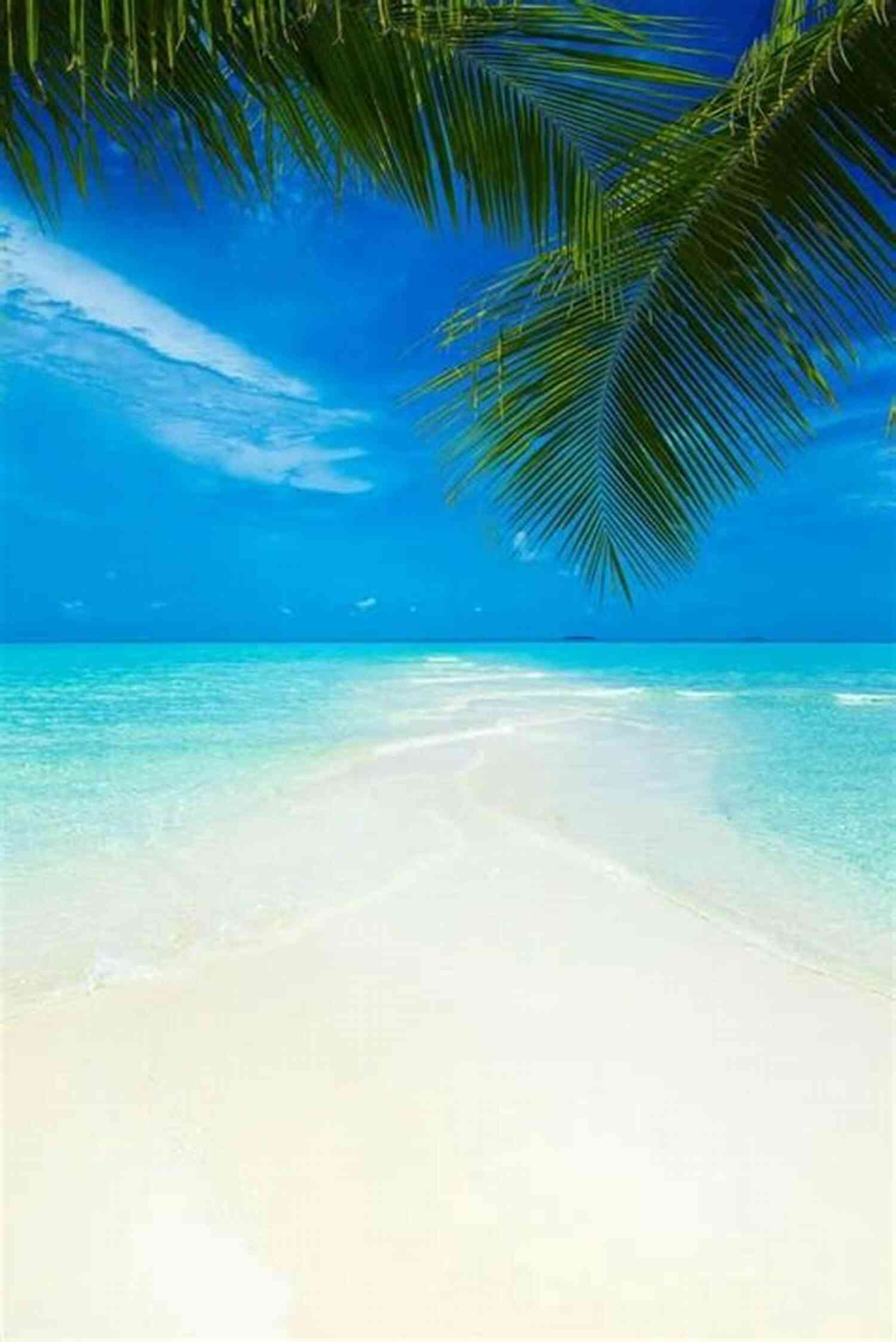 Caribbean Paradise Crystal Clear Turquoise Waters, White Sandy Beaches, And Palm Trees Swaying In The Gentle Breeze The Trip Of A Lifetime (Caribbean 3)