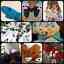 Craftdrawer Craft Patterns