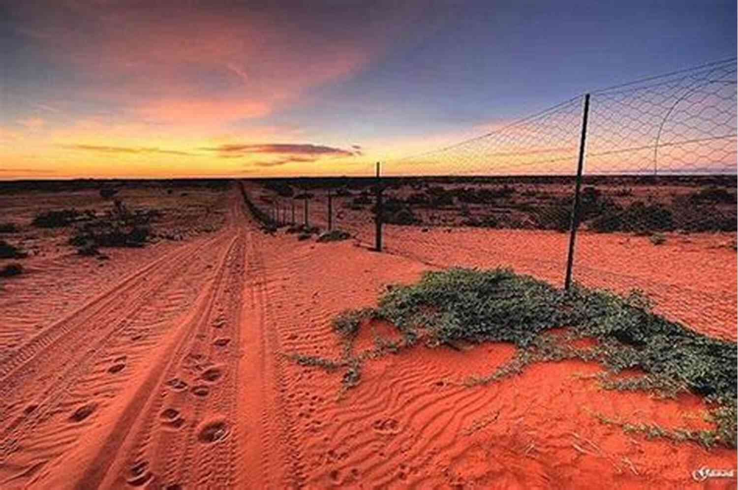 Dingo Fence 100 Things You Didn T Know About Australia