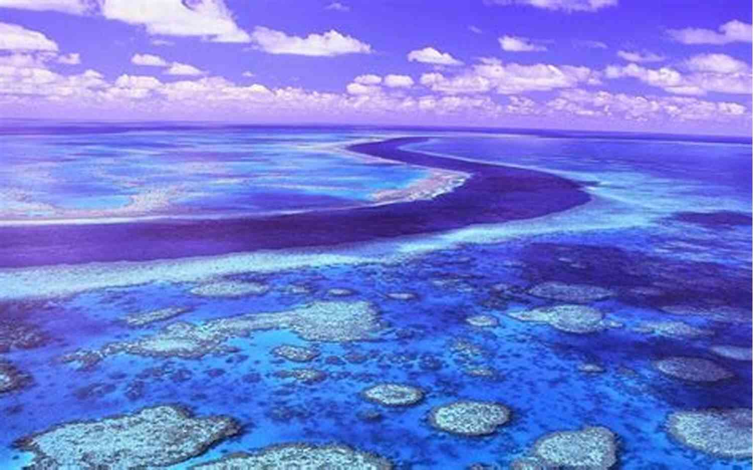 Great Barrier Reef 100 Things You Didn T Know About Australia