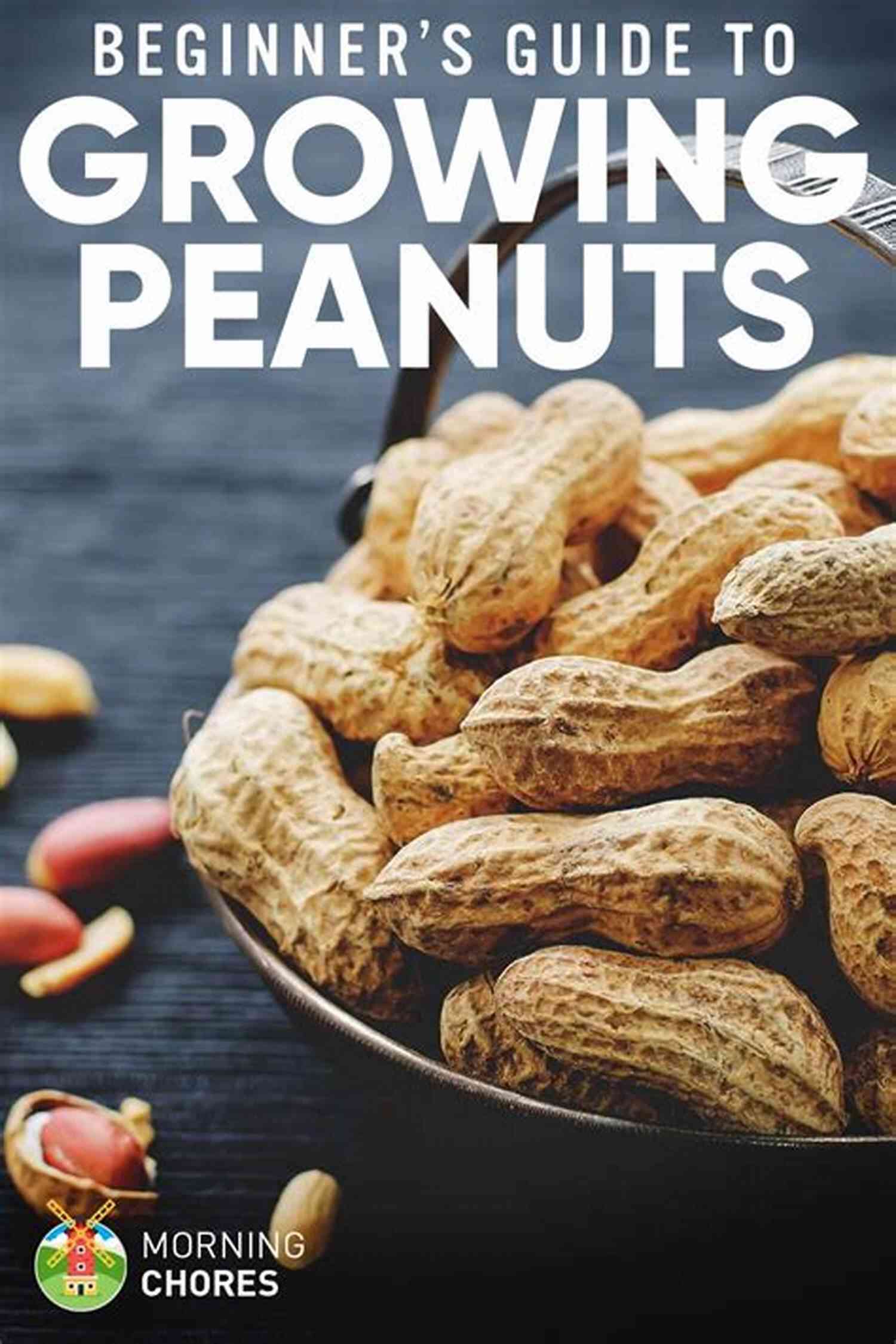 Growing Peanuts In Containers: A Guide To Cultivating Delicious Peanuts At Home Peanut Container Gardening: The Quick And Easy Step By Step Guide To Growing Peanuts In Containers