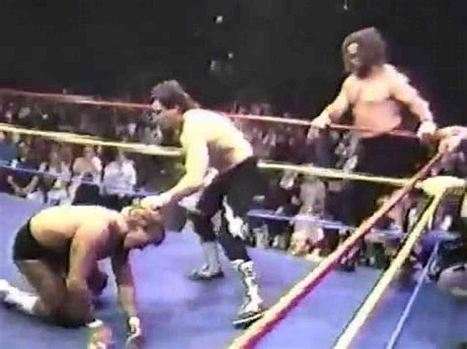 Lance Von Erich In Action Inside The Wrestling Ring The Fabulous One: My Thoughts On Lance Von Erich: The LOST Von Erich