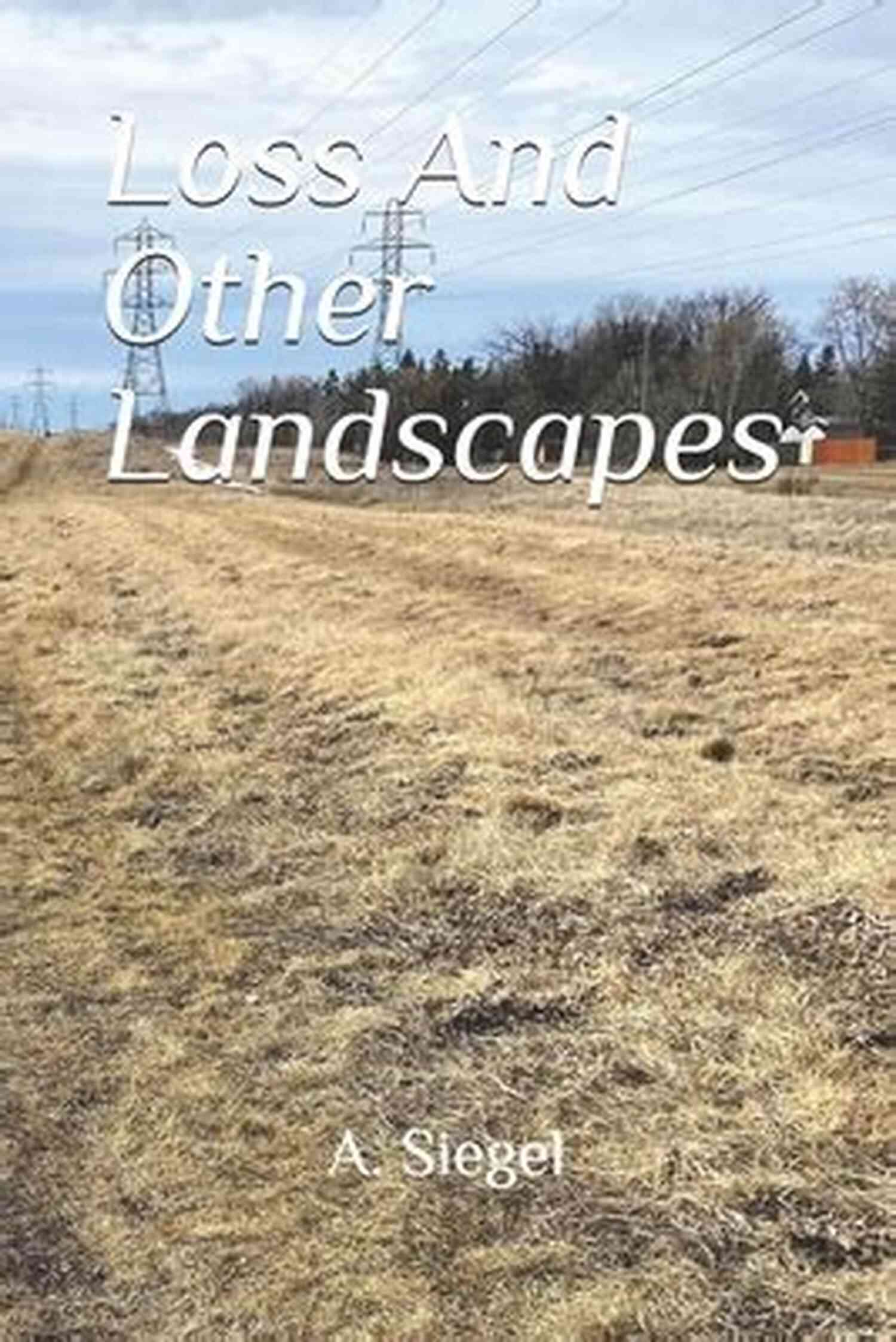 Loss And Other Landscapes Siegel Artwork Loss And Other Landscapes A Siegel