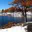 Marcia Lake