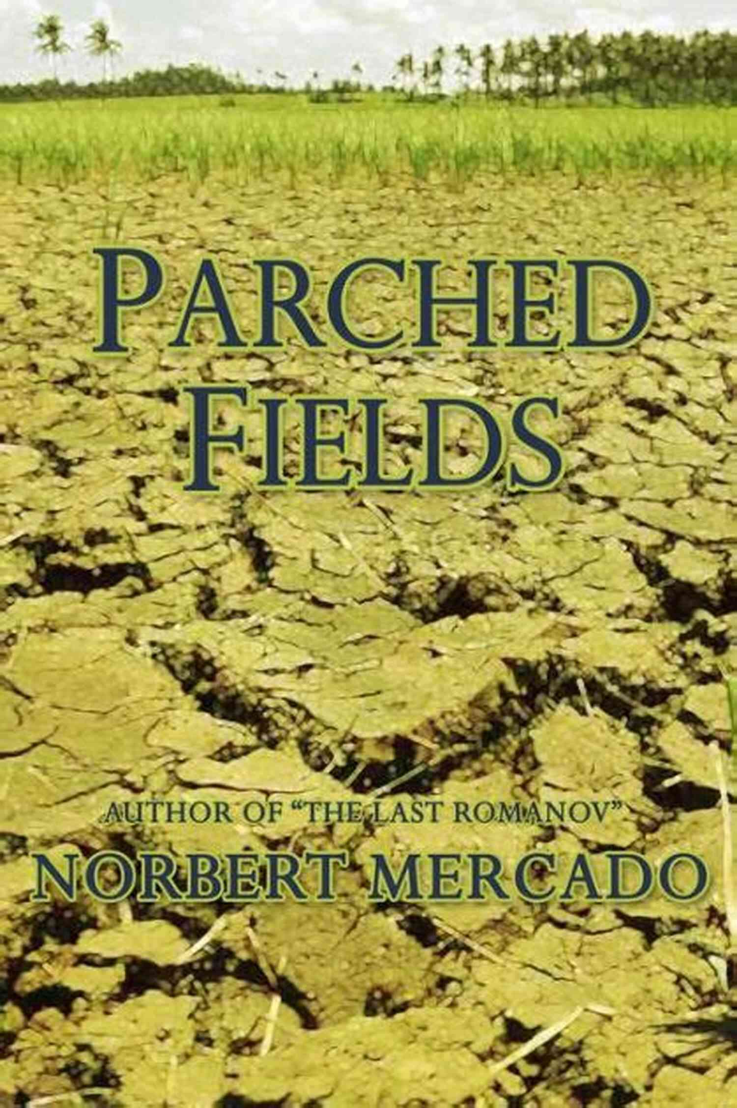 Parched Fields Norbert Mercado
