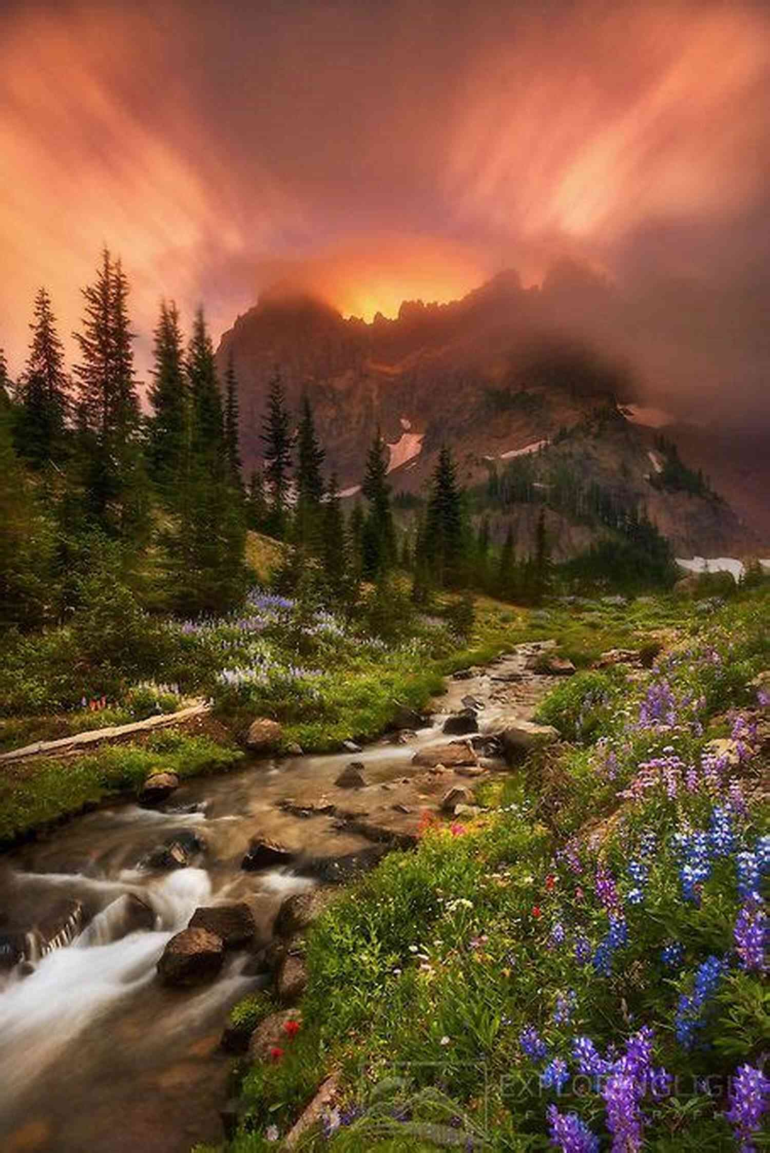 Peripatetica Alberto Herrera Jefferson Amidst Stunning Natural Landscape Peripatetica Alberto Herrera Jefferson
