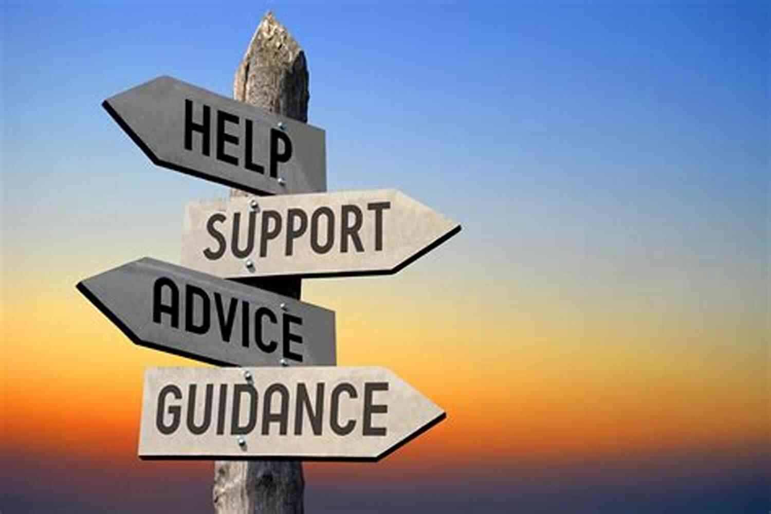Seek Support And Guidance Ten Pin Bowling: A Guide For The New And Confused