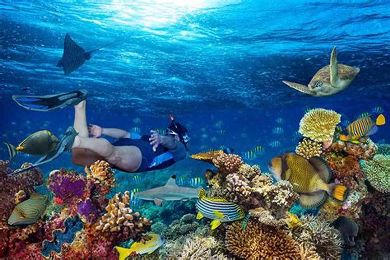 Snorkelers Exploring The Vibrant Coral Reefs In The Caribbean The Trip Of A Lifetime (Caribbean 4)