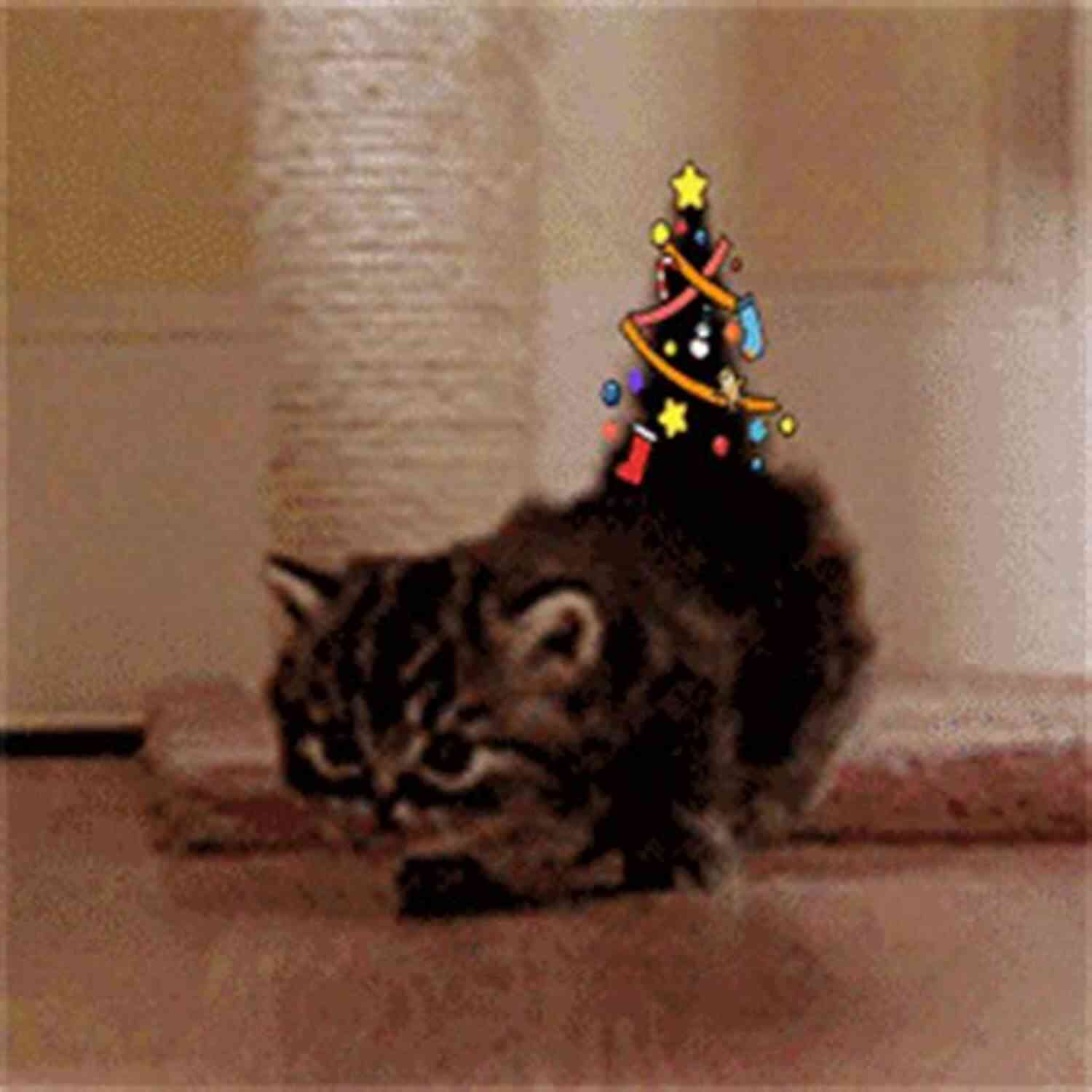 The Christmas Cat Tails The Christmas Cat (The Christmas Cat Tails 1)