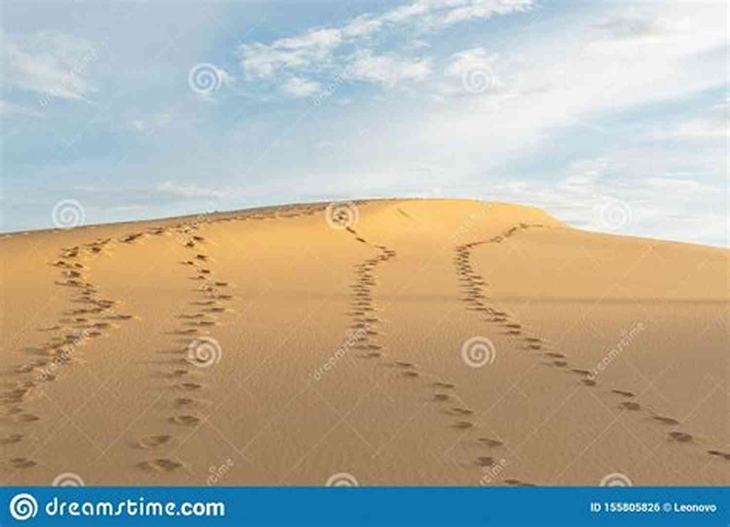 The Eternal Journey: Footprints Leading Towards A Distant Horizon From Time To Time (Time 2)