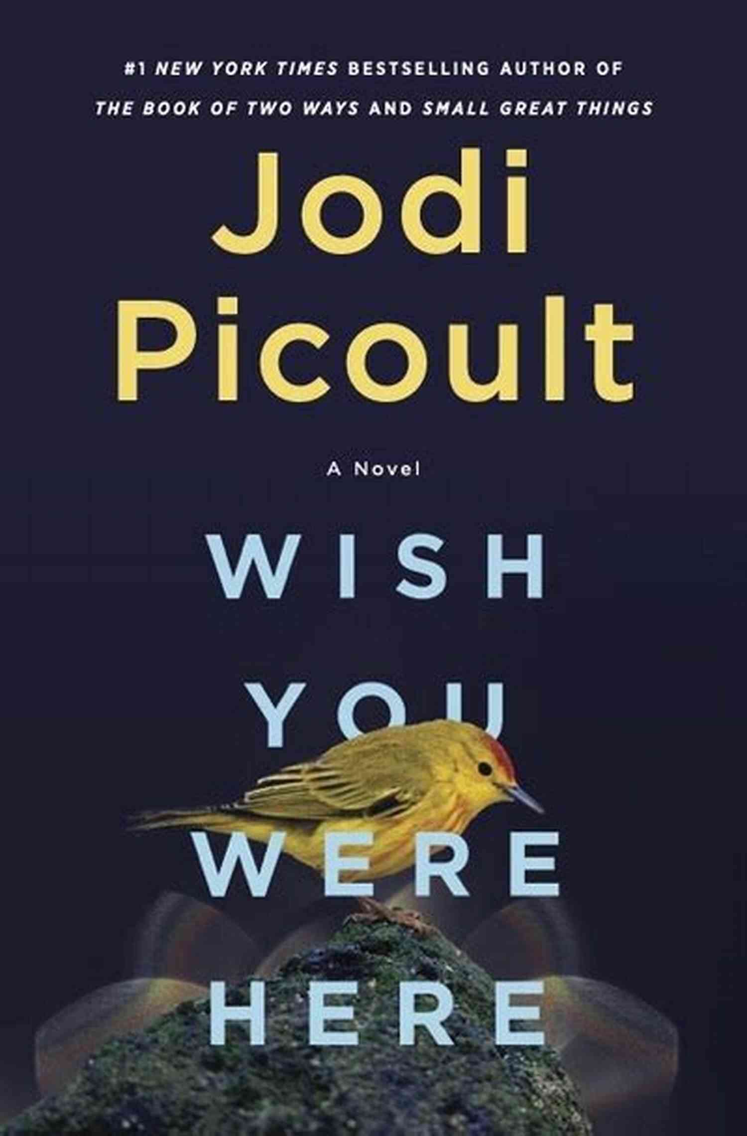 Wish You Were Here Novel Cover Wish You Were Here: A Novel